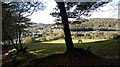 Lampeter northern edge and Upper Forest