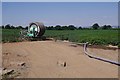 Potatoes and irrigation