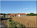 Buildings at Hall Farm