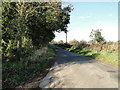 TL9692 : Rural road to Great Hockham by Adrian S Pye