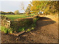 Farmland access track and public footpath