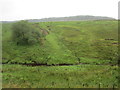 View across the Lang Burn