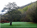 Picnic area beside Afon Dulas