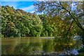 Brimington : Ringwood Lake