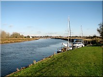 TG4001 : View from Norton Staithe towards Reedham Ferry by Evelyn Simak