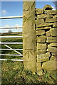 SE0235 : Gatepost with benchmark on north side of Marsh Lane by Roger Templeman