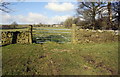 SE0235 : Field gateway on north side of Marsh Lane by Roger Templeman