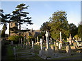 ST5570 : All Saints' churchyard by Neil Owen