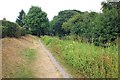SJ8355 : The Gritstone Trail beside the Macclesfield Canal. by Jeff Buck
