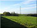 Grazing off Mossley Road, Mossley Cross