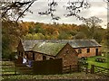 Felin Puleston Outdoor Centre in Autumn