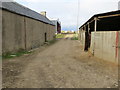 Track through Farm Buildings at Auchincrieve