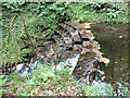 Weir in Hawkcombe