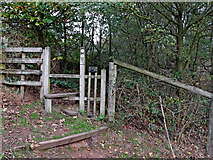 SO8681 : Woodland footpath and stile east off Caunsall by Roger  D Kidd