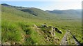 NH0619 : Track through Glen Affric by Richard Webb