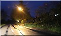 SU4889 : Reading Road, Rowstock by David Howard