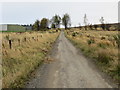 Track to The Tam beside Bonded Warehouses