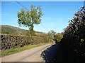 Minor road heading east to Lower Cwm Bridge