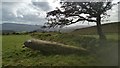 SN7308 : Cefn Gwryd, Standing Stone by Adrian Dust