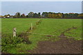 Fields at Brixey