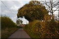 Farm road off Freelands