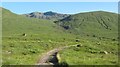 NH0719 : Path in Glen Affric by Richard Webb