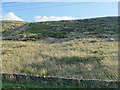 SE0615 : Hillside grazing, Worts Hill Side by JThomas