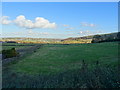 Grassland off Round Ings Road