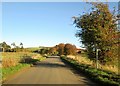 Minor  road  toward  Linton  Mill