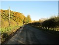 Country  road  near  Ladyhills  Plantation