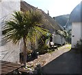 Thatched cottages at Inner Hope, Devon