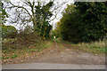 Farm Track near Kempton Park Farm