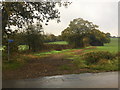 Footpath to Roughley