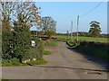 Narrow Lane, Watnall