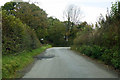 Road nearing Mill Cross