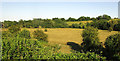 Ebble valley near Bishopstone