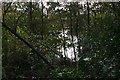 Clay Pit Lake, Hadleigh Country Park