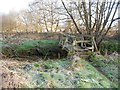 Chobham: Public footpath footbridge over Mill Bourne