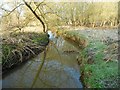 Mill Bourne: Upstream of Emmett