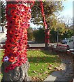 Robert Owen Memorial Garden dressed up for remembrance