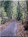 Public footpath at Aiskew