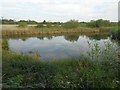 TQ5282 : Rainham: Pond north of the A1306 New Road by Nigel Cox