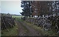 Farm lane at Foxup