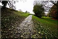 Part of the Wye Valley Walk