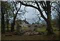 Ruin at Malham Tarn Home Farm