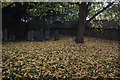 The Church of St Bartholomew: Leaves in the churchyard