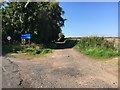 Path across Rossie Moor