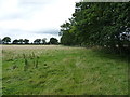 Path heading for Dog Kennel Lane