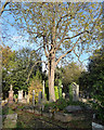 Various monuments, West Norwood Cemetery (64)