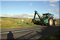 Hedge trimming on north side of Drigg Road